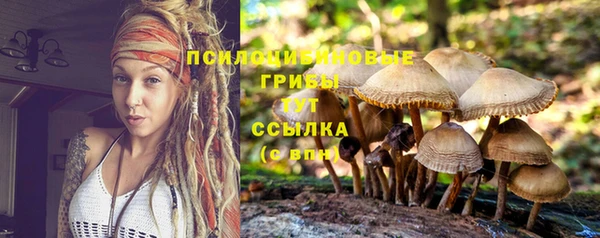 MDMA Premium VHQ Зеленодольск