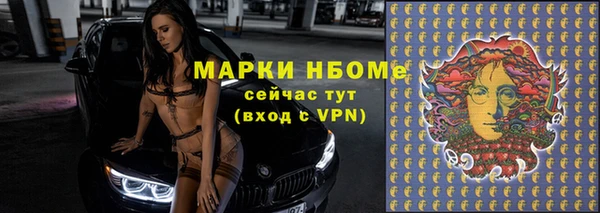 крисы Бикин