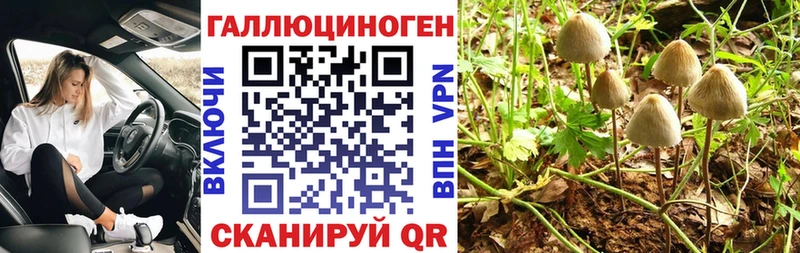 Галлюциногенные грибы MAGIC MUSHROOMS  kraken зеркало  Инза 